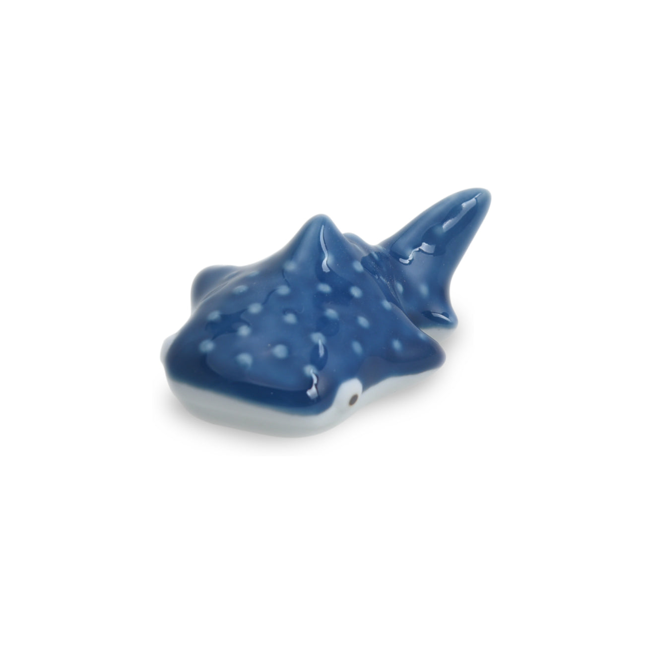 natural69 ジンベイザメ はしおき